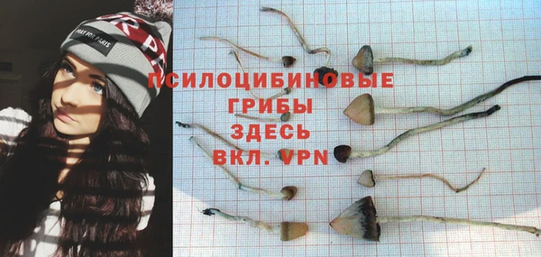 Альфа ПВП Аркадак