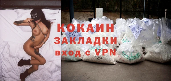Альфа ПВП Аркадак