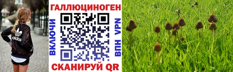 Галлюциногенные грибы прущие грибы  закладки  Новая Ляля 